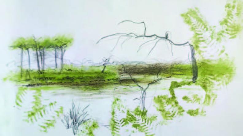 Atlas des paysages - dessin Hostens
