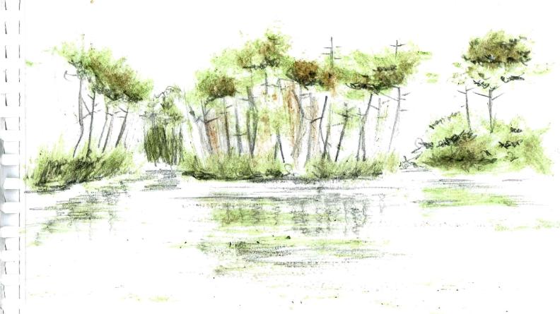 Atlas des paysages - dessin Hostens