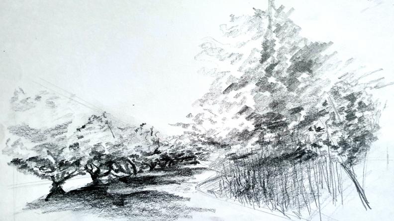 Atlas des paysages - dessin Audenge