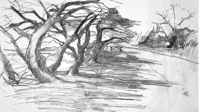 Atlas des paysages - dessin Audenge