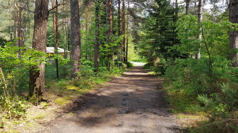 Un sentier de promenade à Hostens