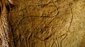 gravure d'un cheval sur le mur de la grotte de Pair-non-Pair