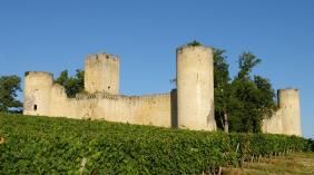 château de Budos en Gironde au milieu des vignes