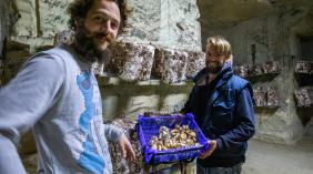 Projet champignons