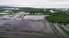 vue aérienne du delta de la Leyre