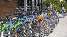 Association Insercycles au Teich