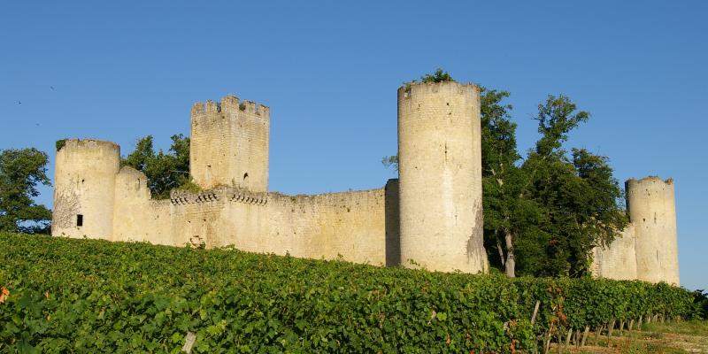 château de Budos en Gironde au milieu des vignes