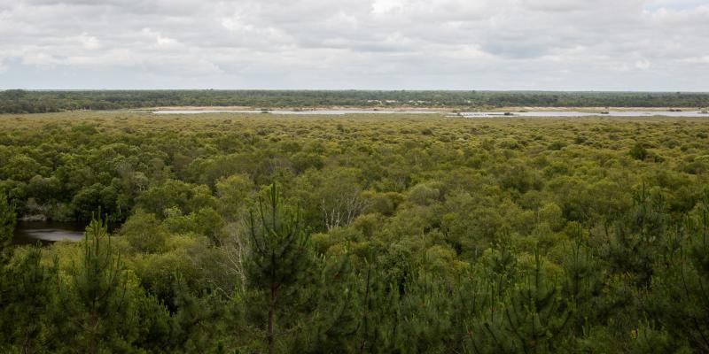 Parc naturel du Médoc