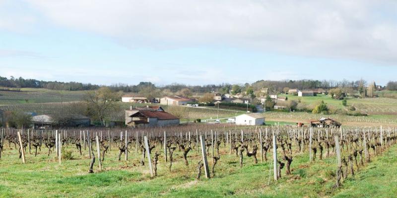 Quelques constructions hors des limites du bourg peuvent suffire à en dégrader la silhouette - Les-Salles-de-Castillon