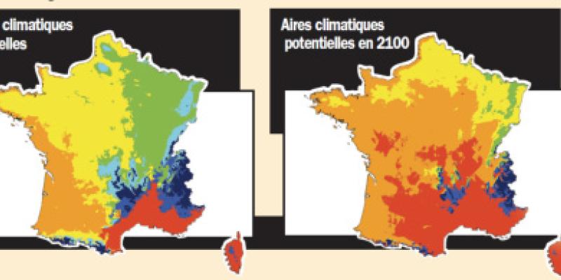 Cartes de modélisation des aires de répartition des espèces arborées mettant en évidence, dans le sud ouest, la forte progression des essences méditerranéennes (série du chêne vert) 