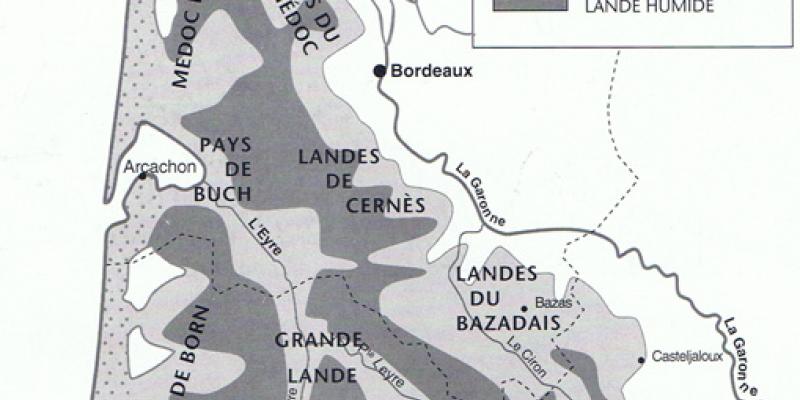Les pays de la forêt landais et les différentes types de landes (d'après L. Papy) 