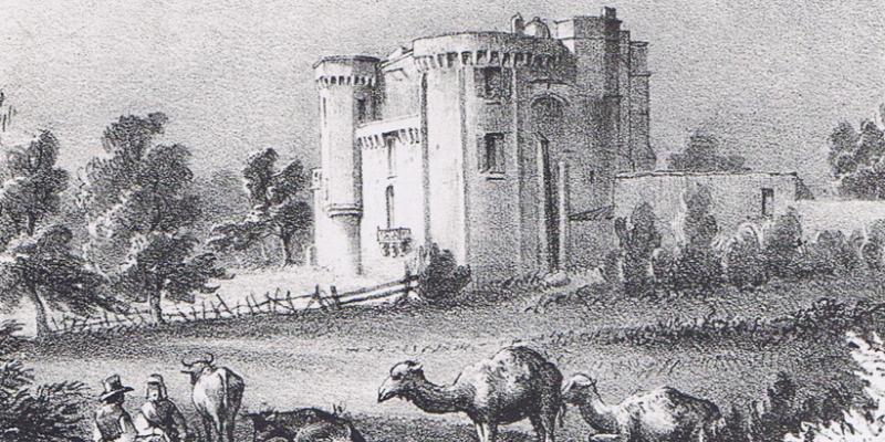 Importés d'Egypte en 1827, les premiers dromadaires furent introduits sur les landes du domaine d'Arès. Ils seront réformés dans le Médoc, sur les terres du château de Lamarque (lithographie de Gustave de Galard et Joseph Félon, vers 1830, d'après SARGOS (J.), Histoire de la forêt landaise, Bordeaux, 1997) 