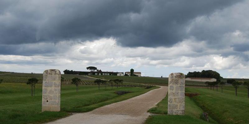 Au nord de Pauillac, les vignes descendent jusqu'à mi-pente, au bord de l'estuaire Saint-Estèphe 