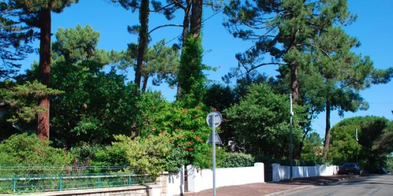 Atlas des paysages - Arcachon