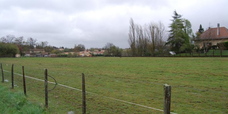 Maintien d'une prairie parmi les franges de l'agglomération bordelaise - Artigues-Près-Bordeaux 