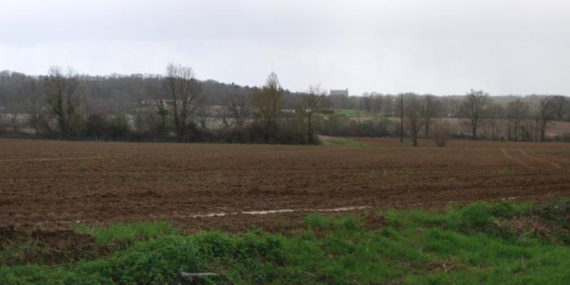 A la naissance du ruisseau du Gestas, les labours s'étirent jusqu'aux bords du cours d'eau - Camiac-et-Saint-Denis 