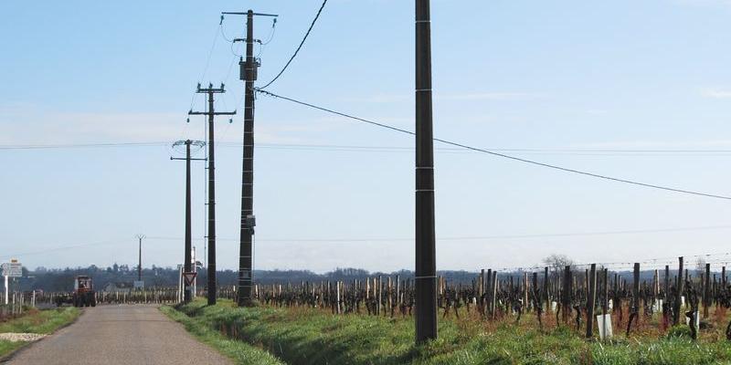 Les réseaux aériens s'imposent dans les paysages très ouverts des vignes - Saint-Christophe-des-Bardes 