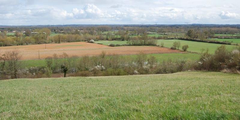 Les haies en réseau font la qualité écologique et paysagère de la vallée de l'Isle - Bonzac 
