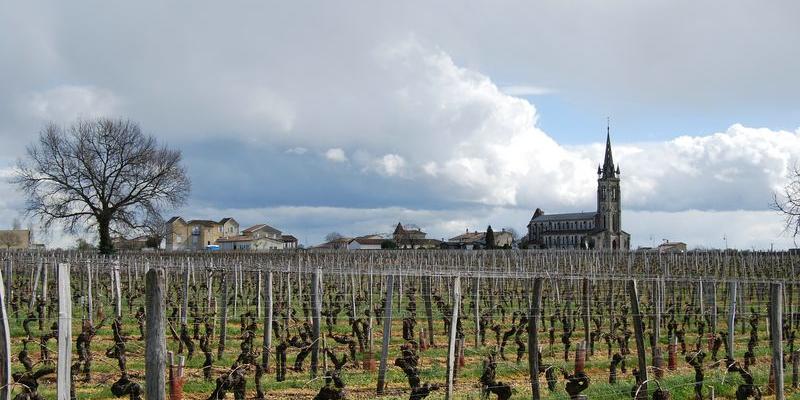 Le hameau de Trochau, encadré par la silhouette de son église et celle d'un arbre solitaire au premier plan - Pomerol 