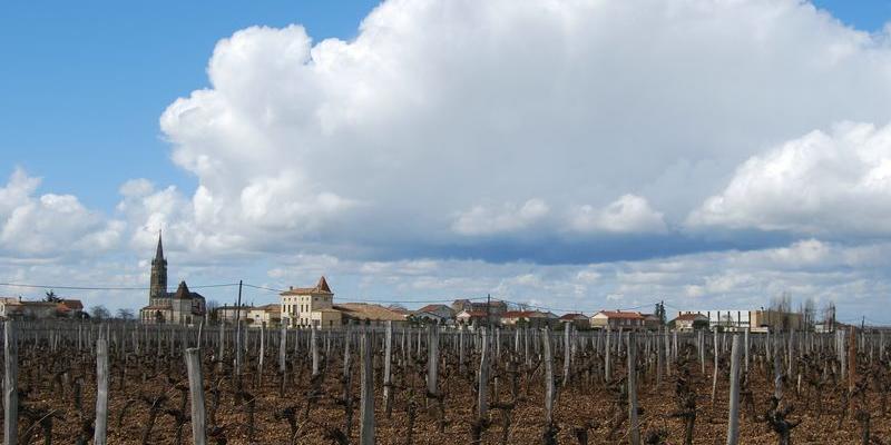 La vigne laisse passer le regard et tous les bâtiments sont visibles ; ici, le hameau de Trochau - Pomerol 
