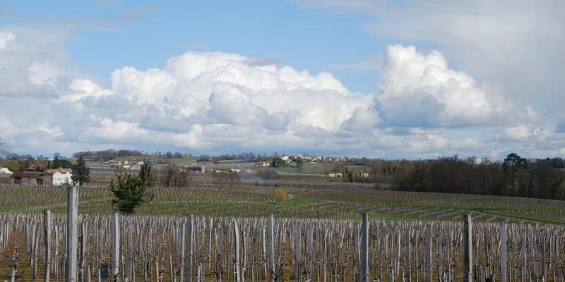 Quelques boisements se révèlent à proximité du vallon de la Barbanne 