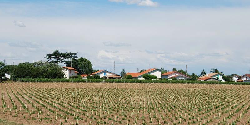 L'architecture des extensions urbaines permet rarement leur inscription dans les paysages locaux - Libourne 