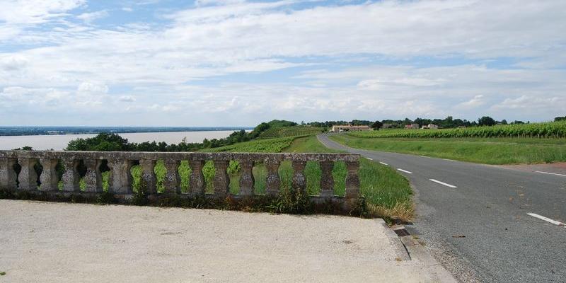 Les abords bien dégagés de la route permettent de dégager les vues sur l'estuaire - Saint-Seurin-de-Bourg 