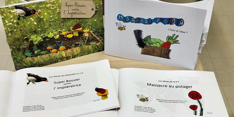 Albums d'histoires des collégiens