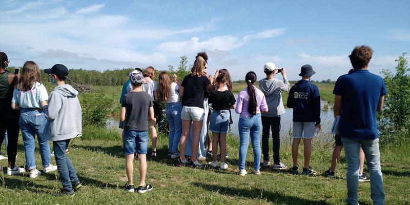 Observation des oiseaux