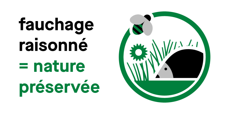 Fauchage raisonné = nature préservée