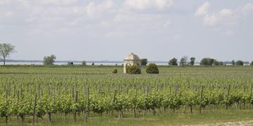 L'œnotourisme en Gironde