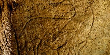 gravure d'un cheval sur le mur de la grotte de Pair-non-Pair