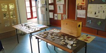 Action Club Nature à la Maison du Patrimoine Naturel du Créonnais