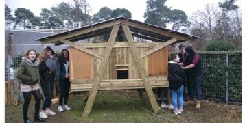Création d'un poulailler au collège