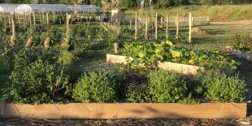 Site maraîcher de Génissac