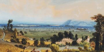 Vue des vignobles libournais