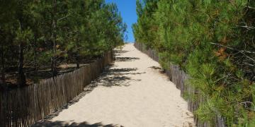 Des palissades de ganivelles délimitent clairement les zones et passages accessibles au sein des milieux fragiles des dunes - Bassin d'Arcachon