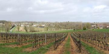 Reliefs adoucis des hauteurs de l'Entre-Deux-Mers - Salleboeuf