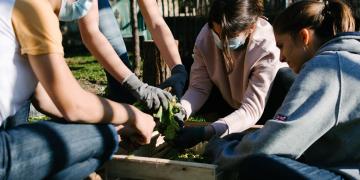 Potager à St Genès 