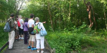 Diversité des paysages de Villenave d’Ornon