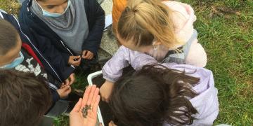 Jardins partagés à Moulis en Médoc