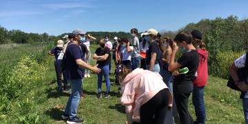 Les collégiens sur l'Île Nouvelle