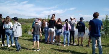 Observation des oiseaux