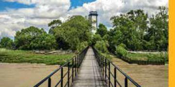 Le Festin - hors série Gironde
