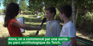 alors, on a commencé par une sortie au parc ornithologique du Teich