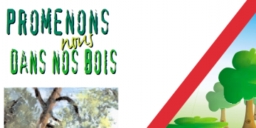 Promenons-nous dans nos bois