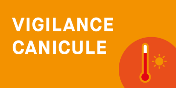 Vigilance canicule