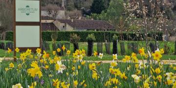 Arboretum Sainte-Florence