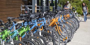 Association Insercycles au Teich