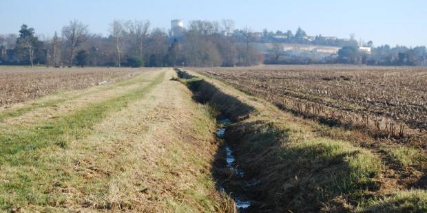 La structure parcellaire est soulignée par les canaux de drainage - Saint-André-de-Cubzac